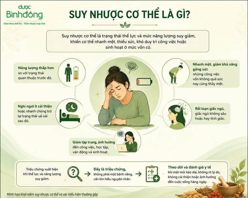 Stress có gây suy nhược cơ thể không? Dấu hiệu và cách phục hồi